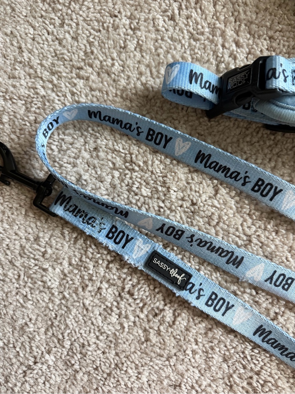Sassy Woof Harness Leash Bundle - Picture 16 of 16